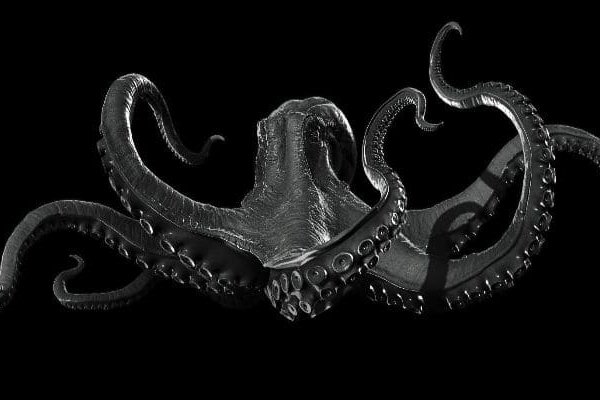 Kraken mirror