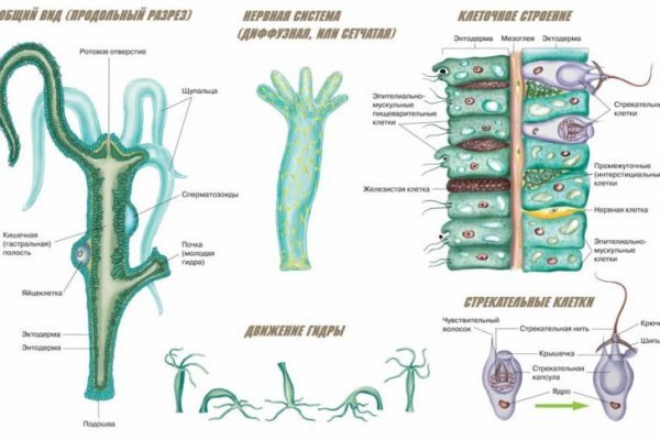 Кракен сайт krakens13 at