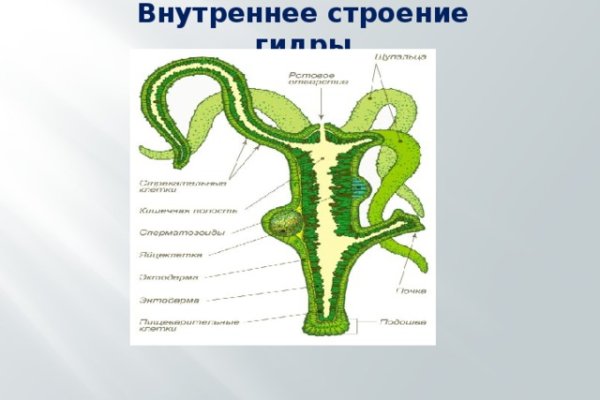 Тор кракен vk2 top