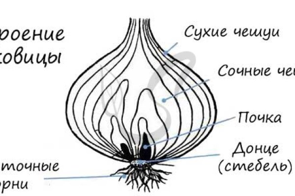 Что такое кракен сайт