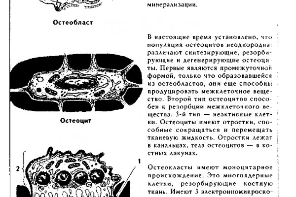 Кракен это современный маркетплейс